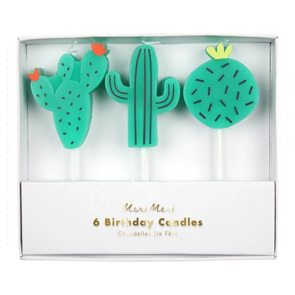 Cactus Candles