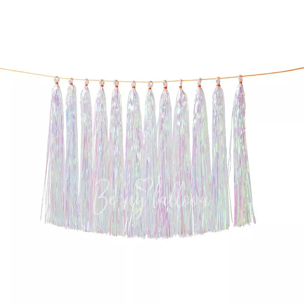 Iridescent Tassel Garland