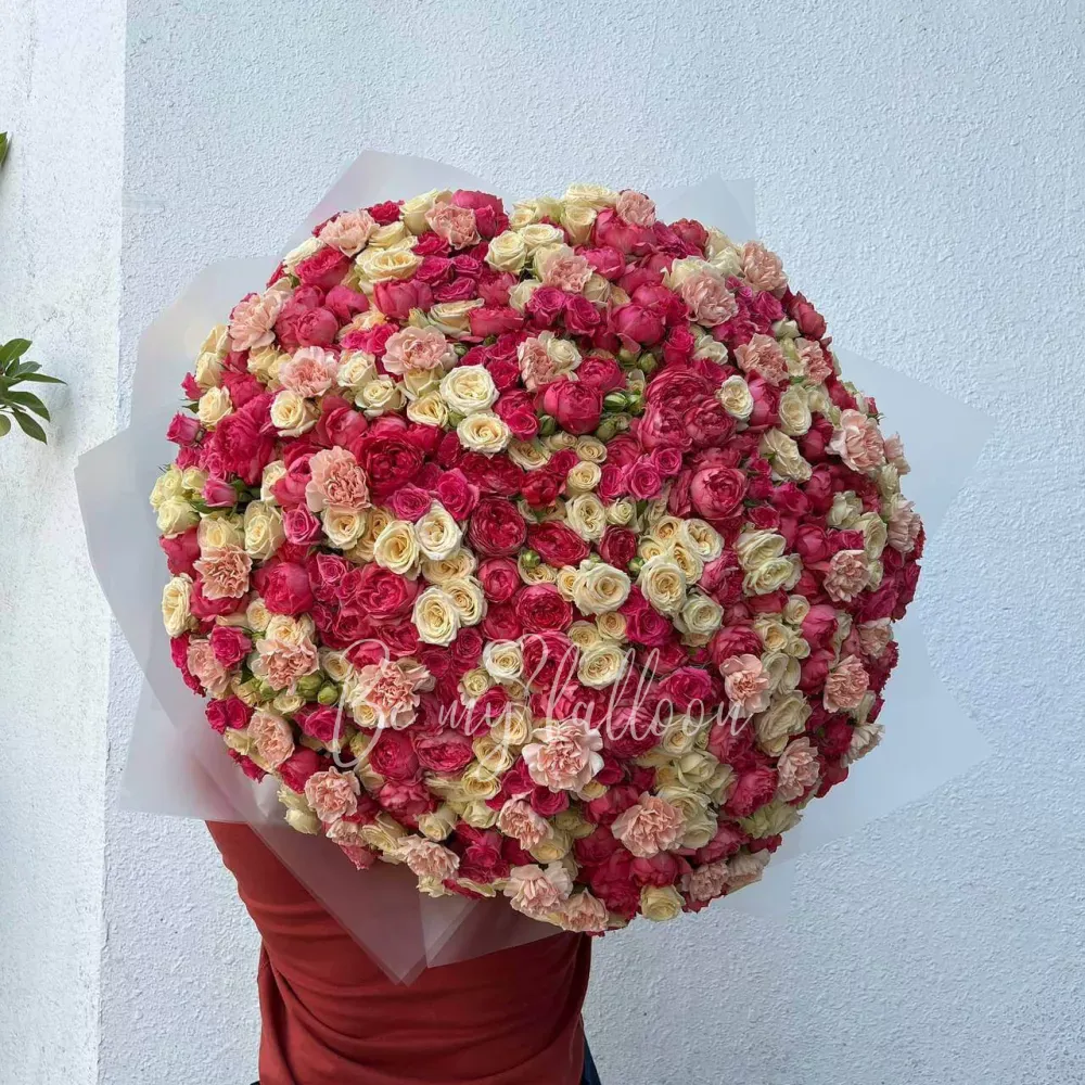 Secrets of the East x Sention