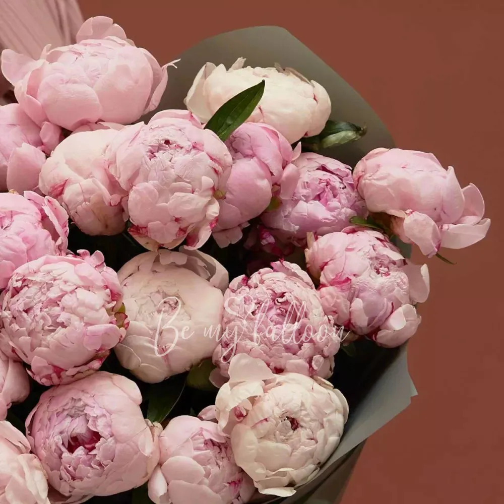 Изобилие Пионов