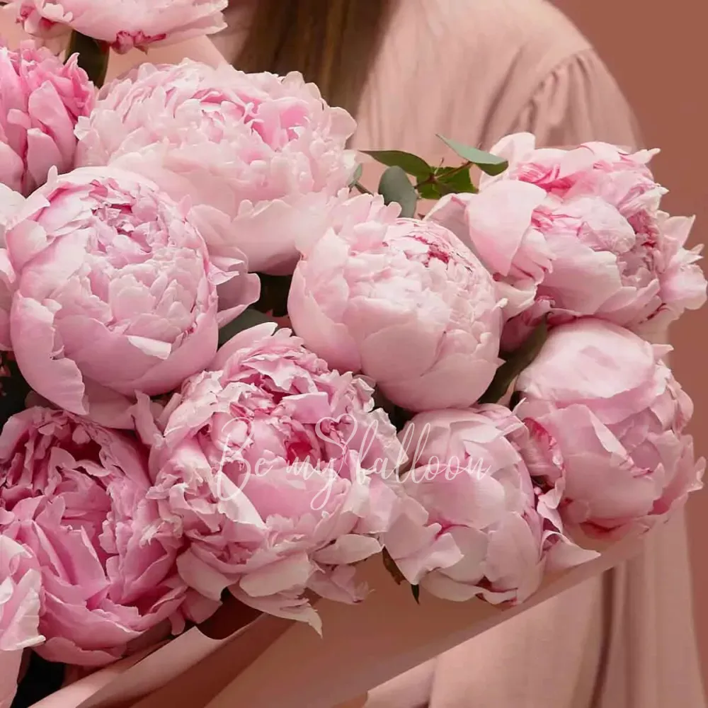 Моя Любовь Сара