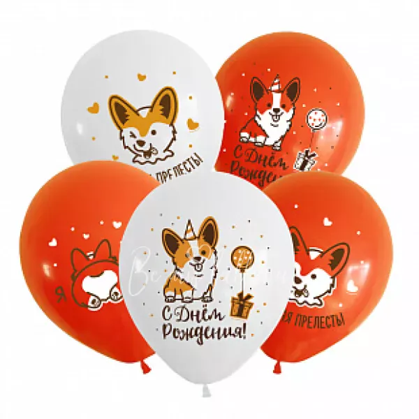 Latex Balloons for Happy Birthday Corgi 2 Colors