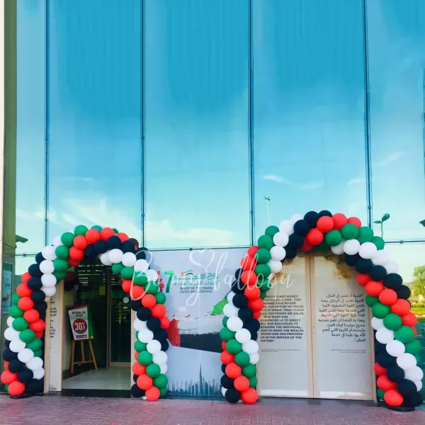 7 meter Classic Balloon Arch 2pcs